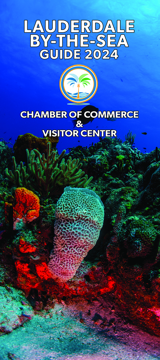 chamber guide design